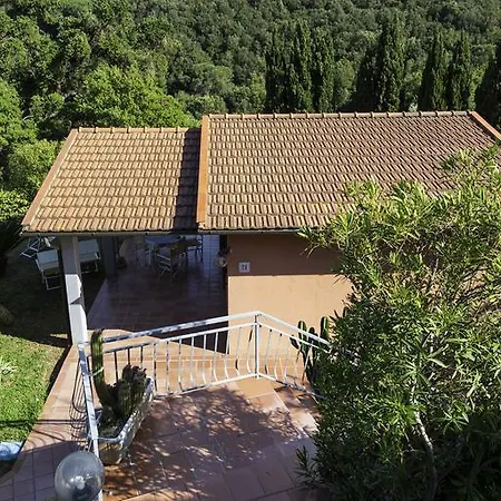 Belvedere