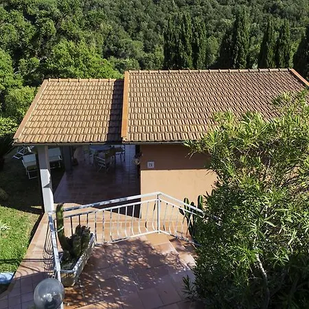 Belvedere
